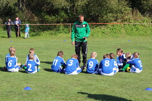 米兰体育官网下载-中国篮球教练员技术战术创新能力提升路径，篮球教练发展